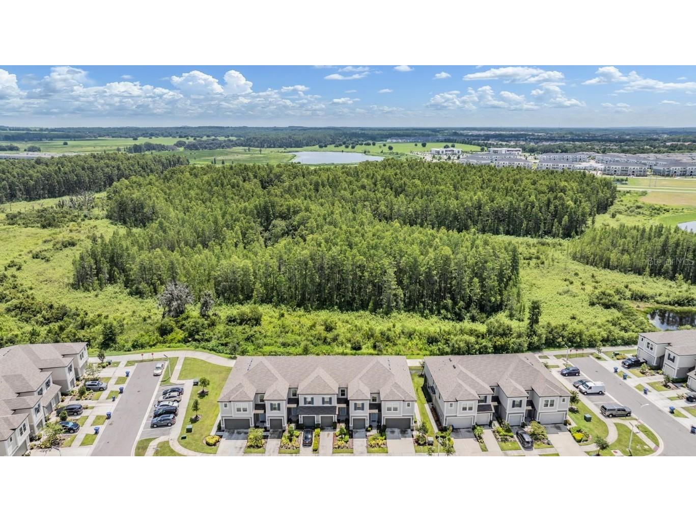 8082 Rolling Shell Trail Wesley Chapel FL 33545 TB8457575 image6