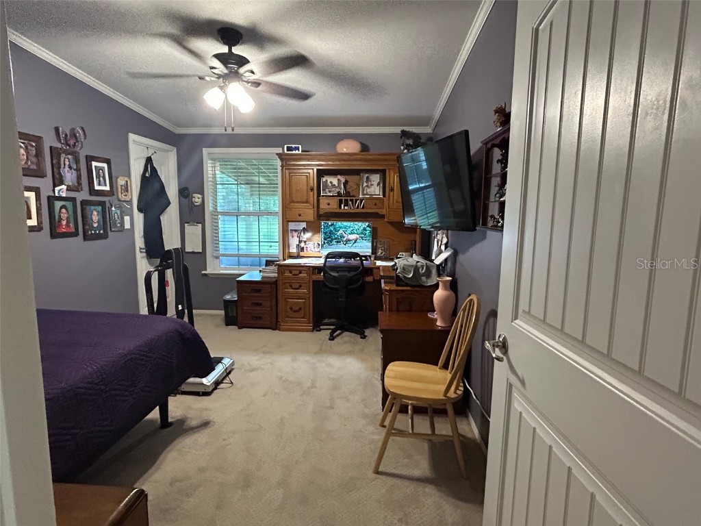 8083 SW 126 Avenue Lake Butler FL 32054 GC532991 image15