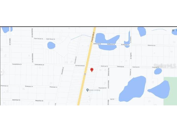 8086 Treiman Blvd Boulevard Webster FL 33597 O6231627 image3