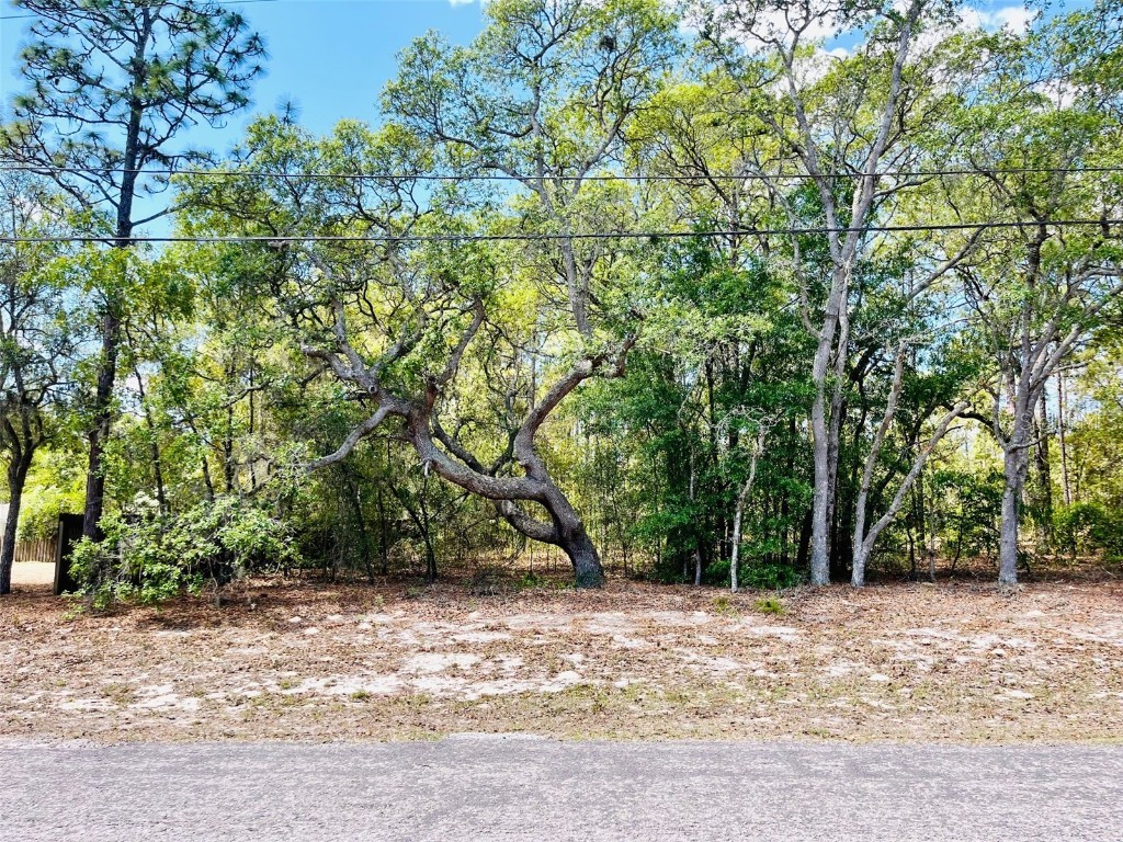 8088 N Pitcairn Way Citrus Springs FL 34434 W7854286 image1