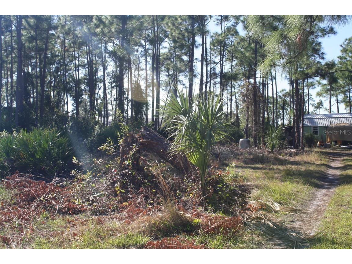 8089 Austrian Boulevard Punta Gorda FL 33982 C7518017 image3