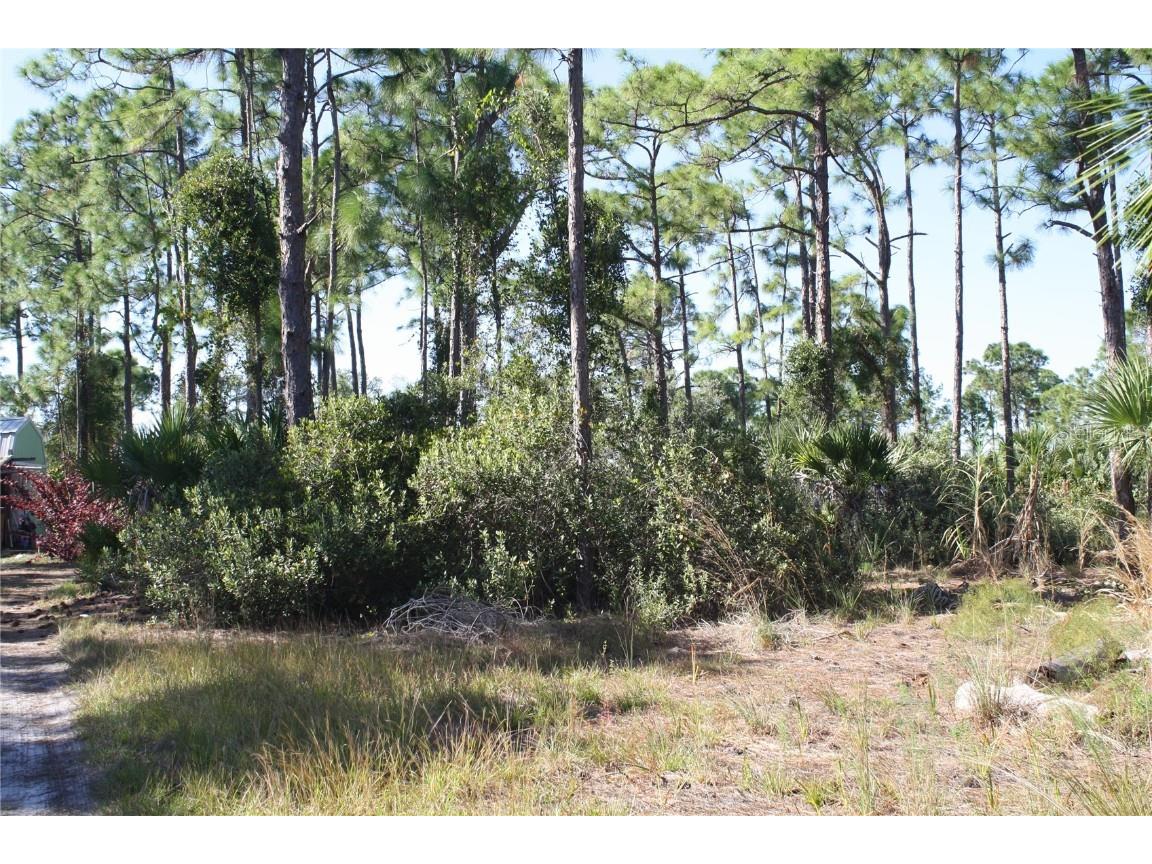 8089 Austrian Boulevard Punta Gorda FL 33982 C7518017 image4