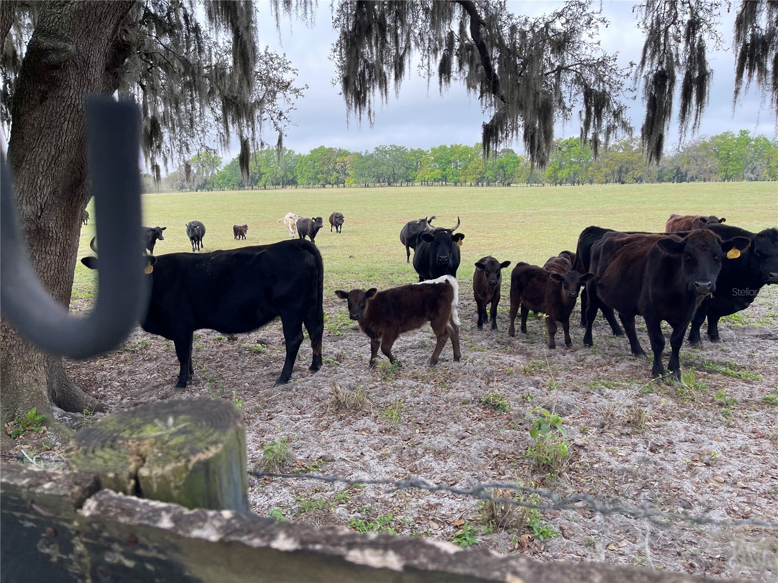 8089 SE 174th Belhaven Loop The Villages FL 32162 O6370078 image27