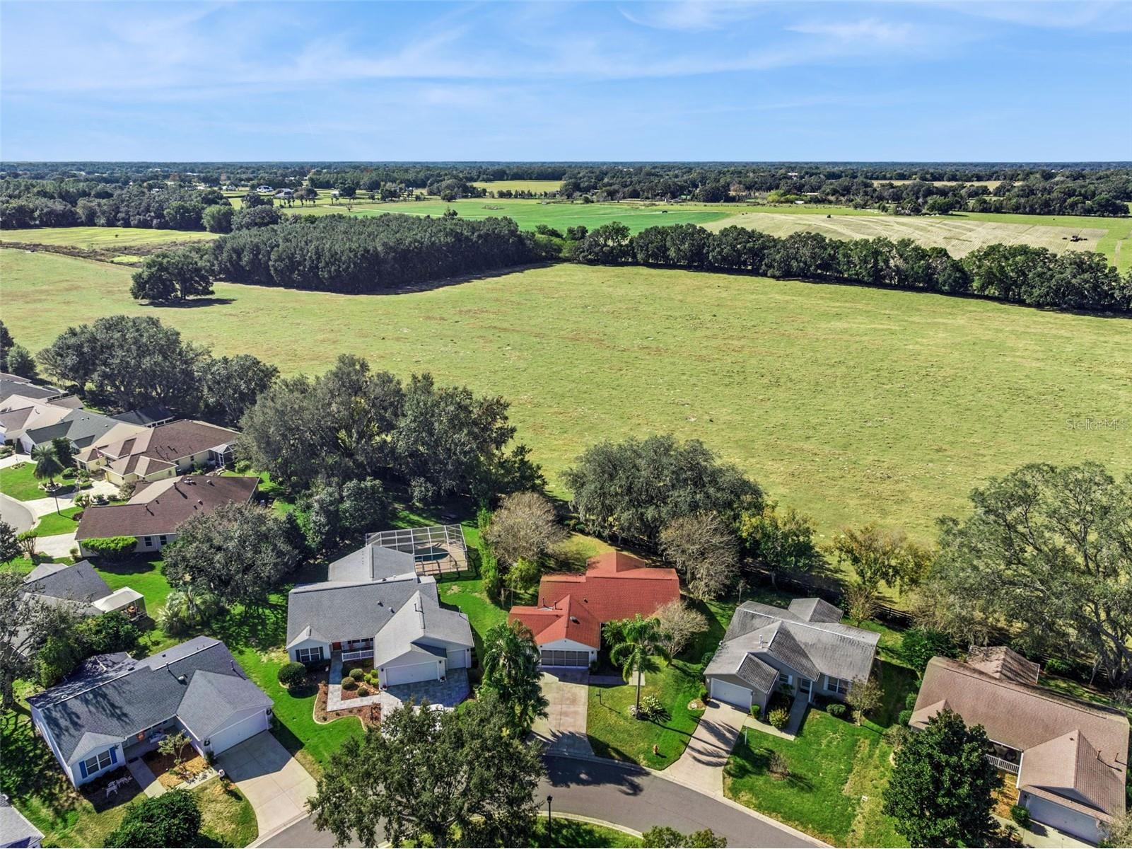 8089 SE 174th Belhaven Loop The Villages FL 32162 O6370078 image5