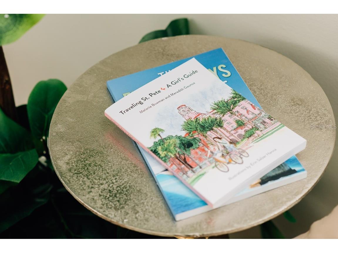 809 10th Avenue N #1 Saint Petersburg FL 33701 TB8414860 image22