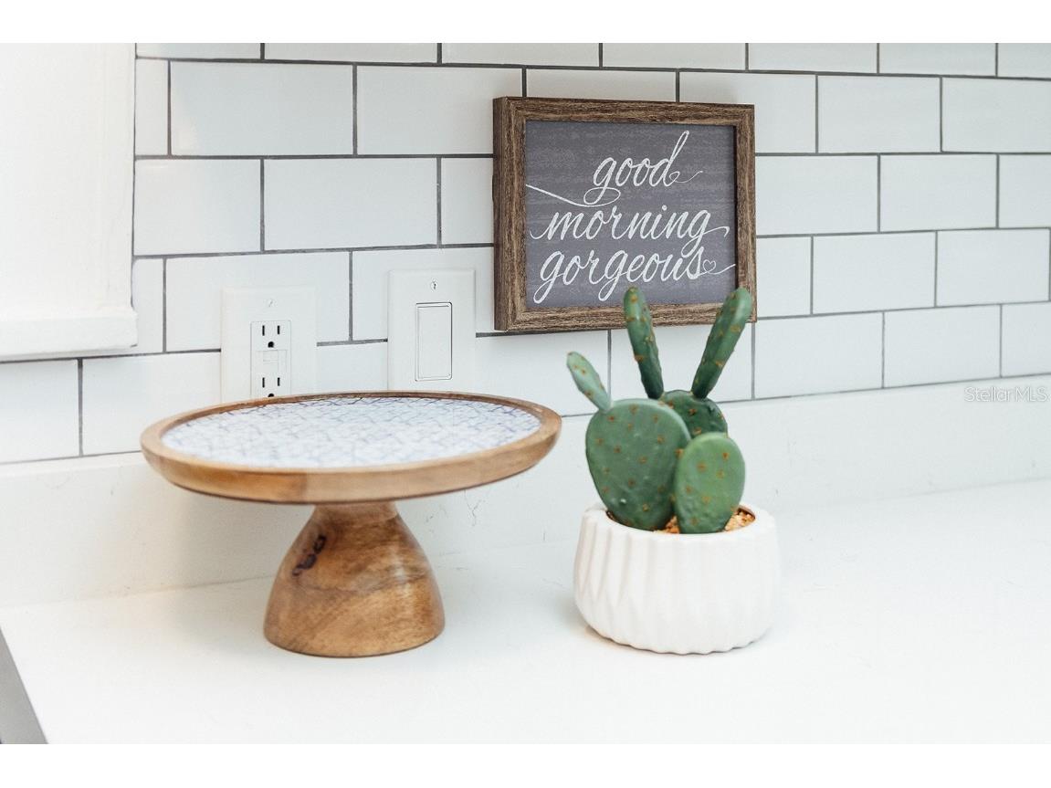 809 10th Avenue N #4 Saint Petersburg FL 33701 TB8414866 image9