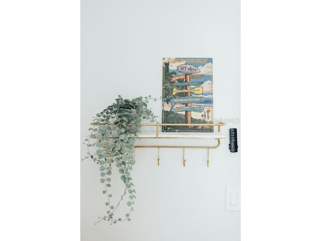 809 10th Avenue N #5 Saint Petersburg FL 33701 TB8413855 image18