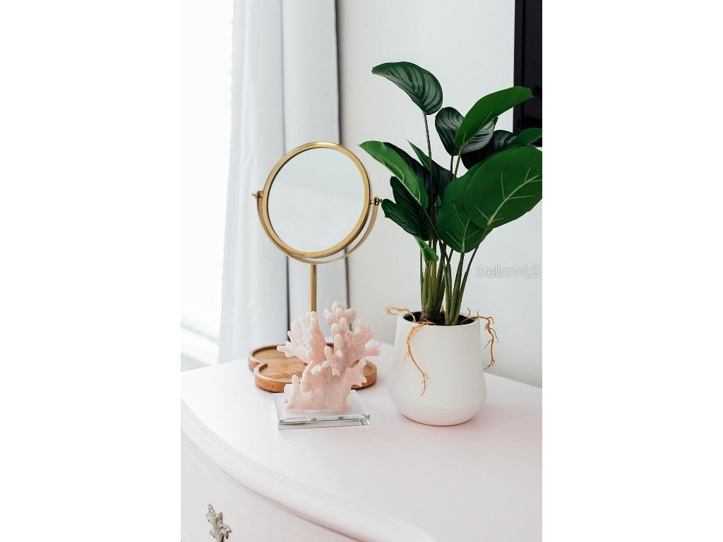 809 10th Avenue N #5 Saint Petersburg FL 33701 TB8413855 image30