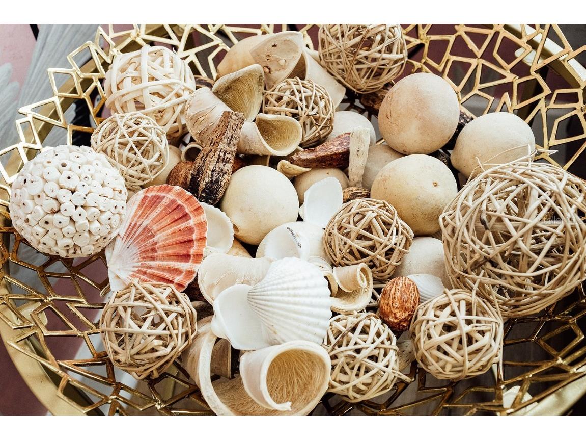 809 10th Avenue N #5 Saint Petersburg FL 33701 TB8413855 image7