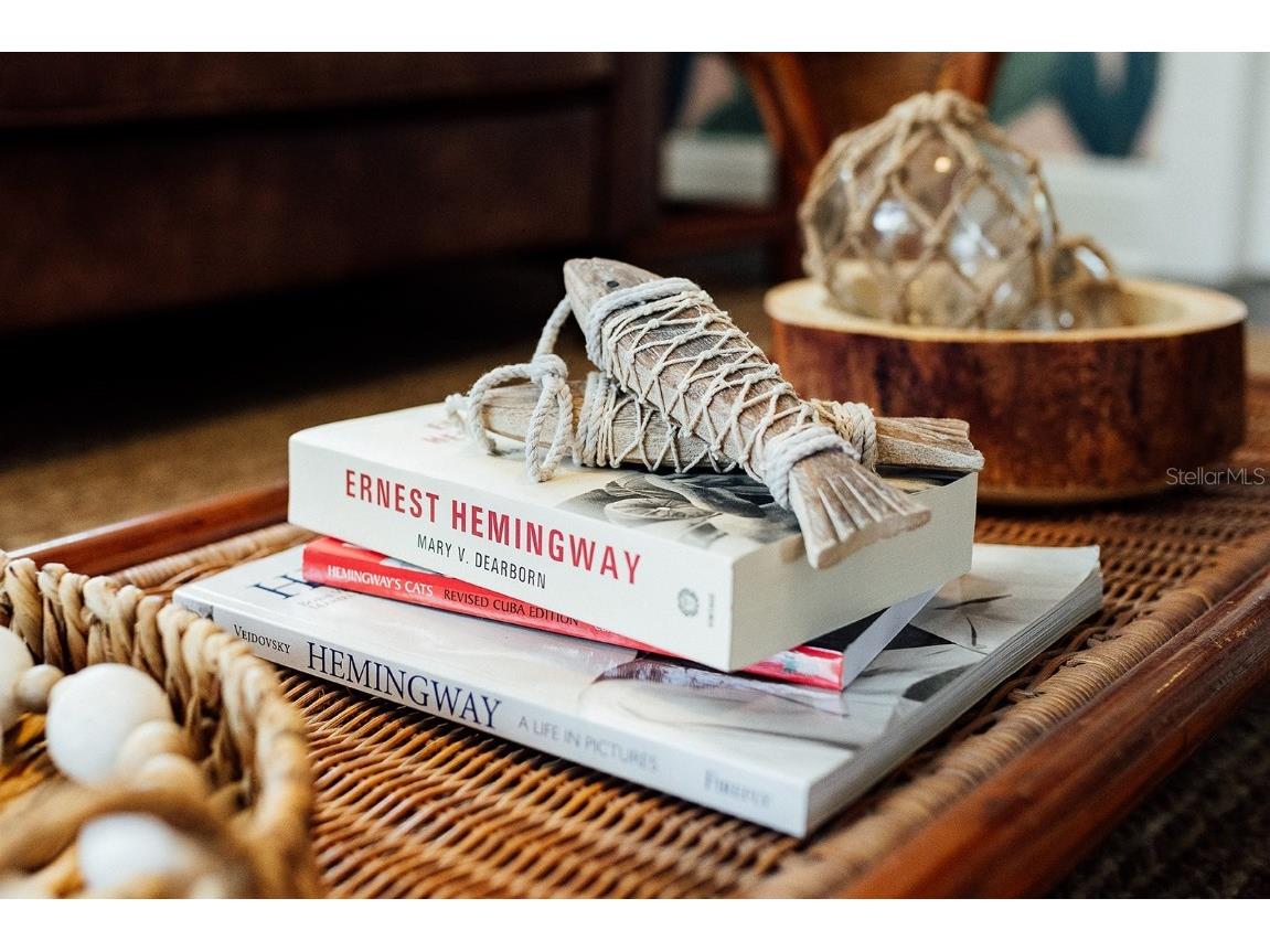 809 10th Avenue N #6 Saint Petersburg FL 33701 TB8413889 image12