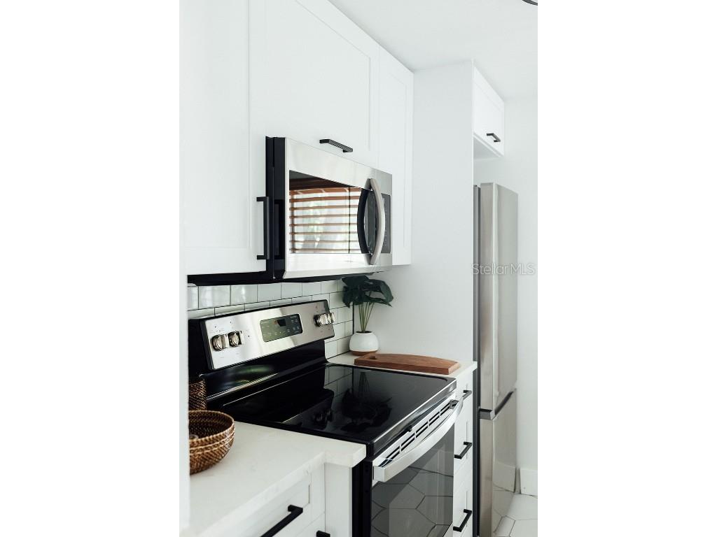 809 10th Avenue N #6 Saint Petersburg FL 33701 TB8413889 image15