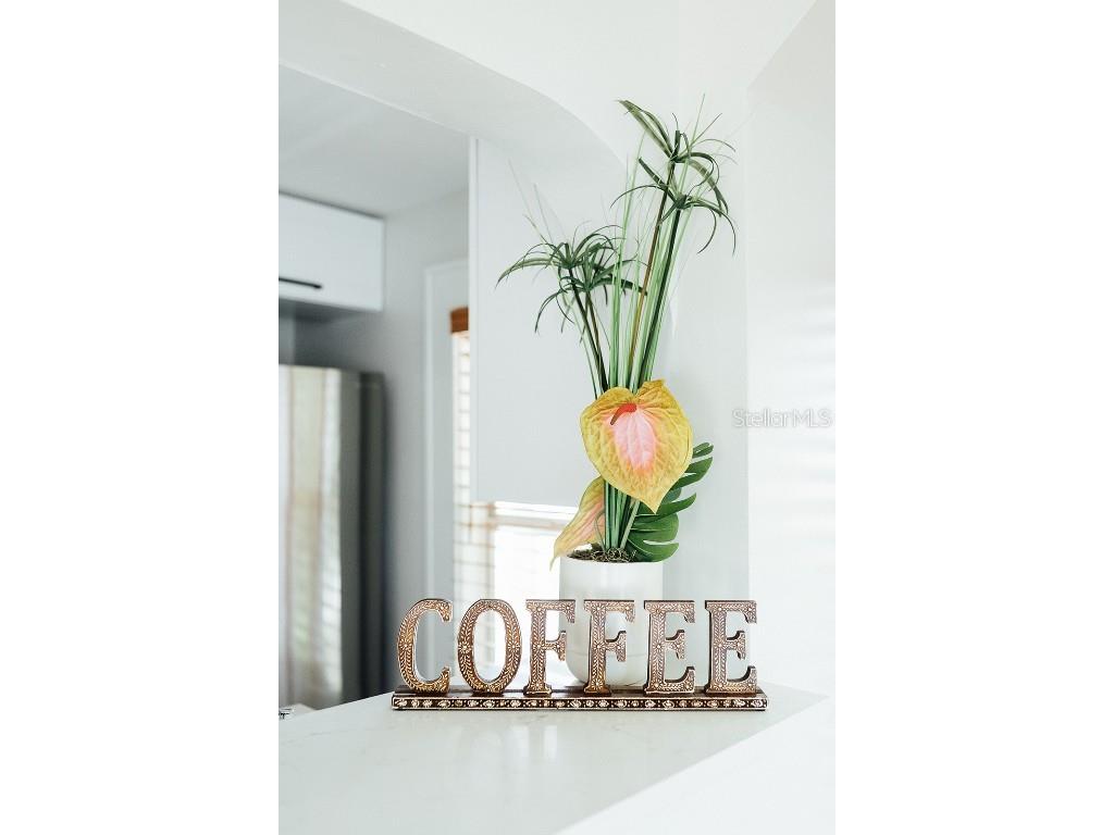 809 10th Avenue N #6 Saint Petersburg FL 33701 TB8413889 image17