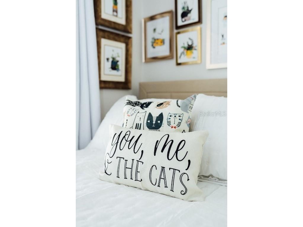 809 10th Avenue N #6 Saint Petersburg FL 33701 TB8413889 image30