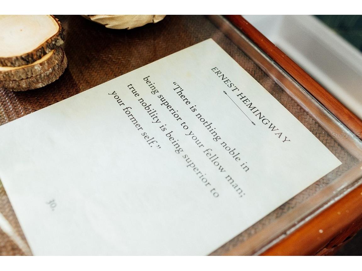 809 10th Avenue N #6 Saint Petersburg FL 33701 TB8413889 image9