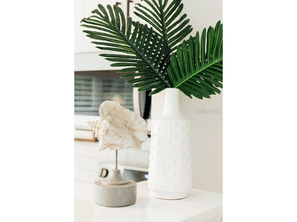 809 10th Avenue N #7 Saint Petersburg FL 33701 TB8414297 image3