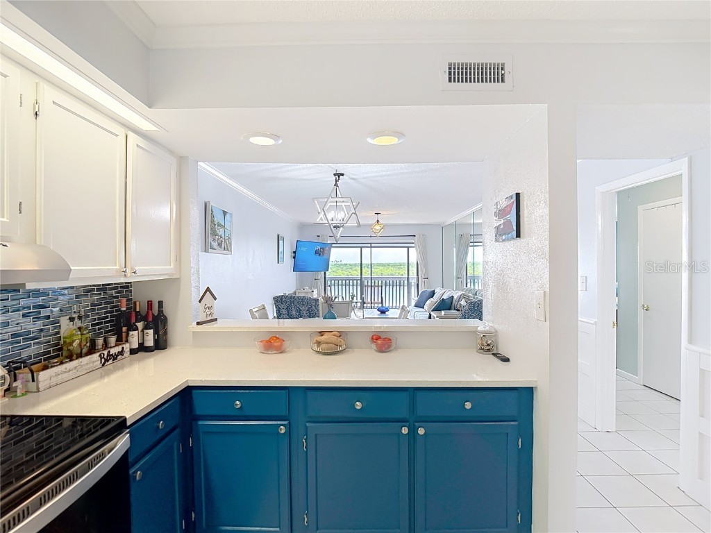 809 Bahia Del Sol Drive #72 Ruskin FL 33570 TB8396504 image11