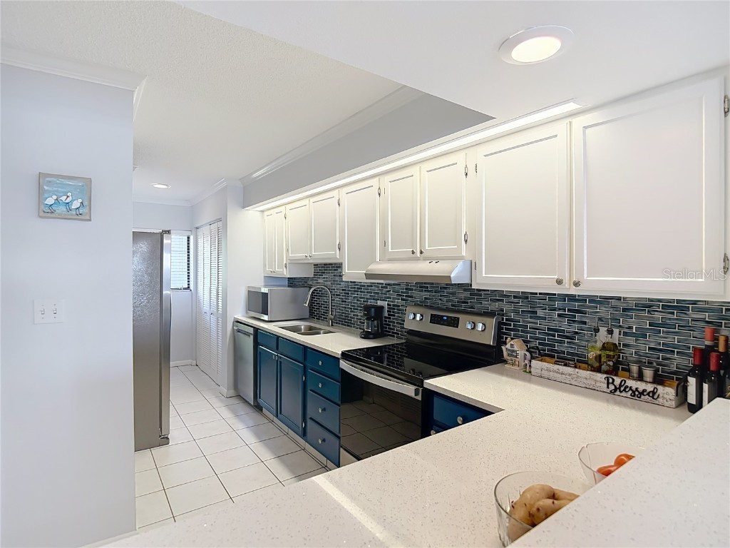 809 Bahia Del Sol Drive #72 Ruskin FL 33570 TB8396504 image13