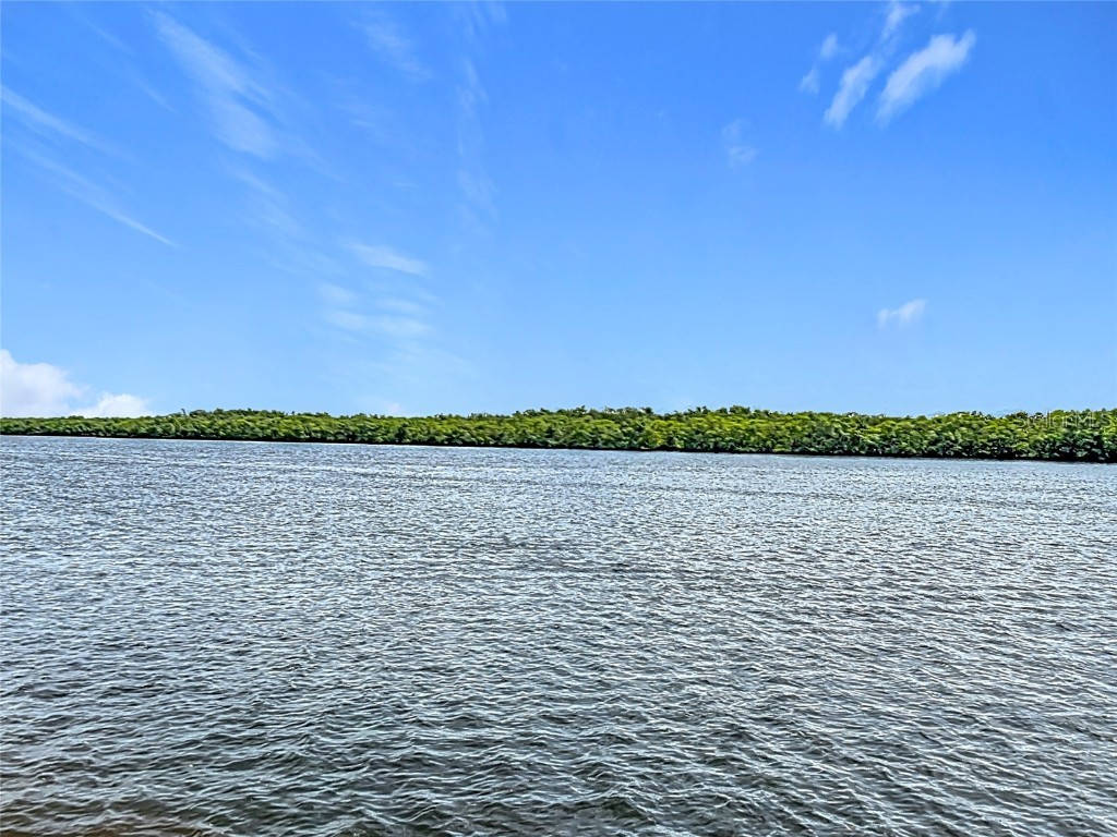 809 Bahia Del Sol Drive #72 Ruskin FL 33570 TB8396504 image41