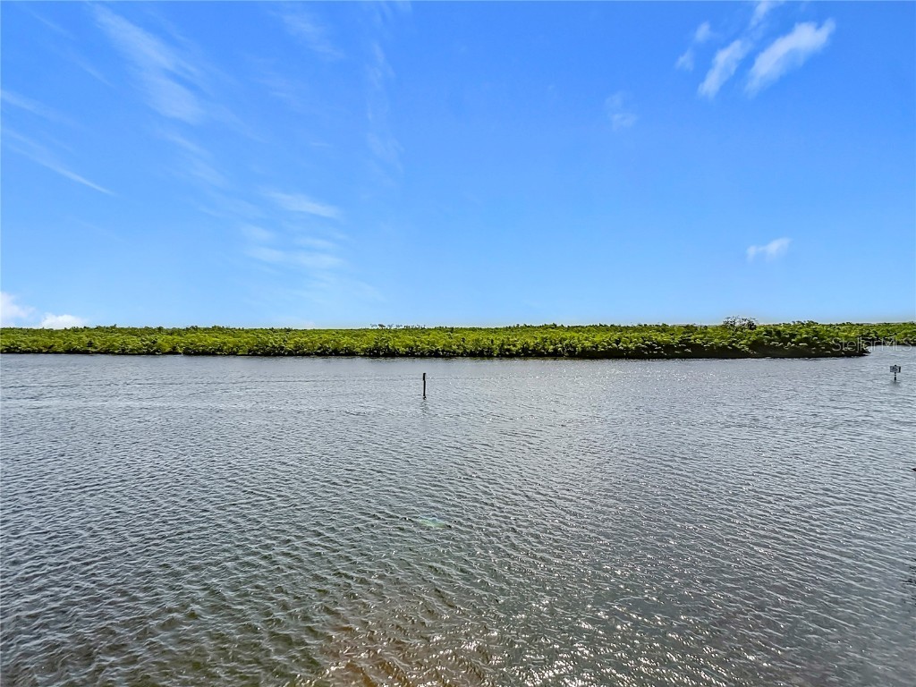 809 Bahia Del Sol Drive #72 Ruskin FL 33570 TB8396504 image42