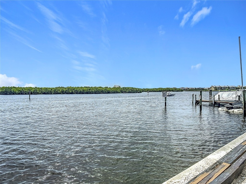 809 Bahia Del Sol Drive #72 Ruskin FL 33570 TB8396504 image46