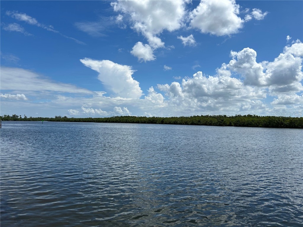 809 Bahia Del Sol Drive #72 Ruskin FL 33570 TB8396504 image70