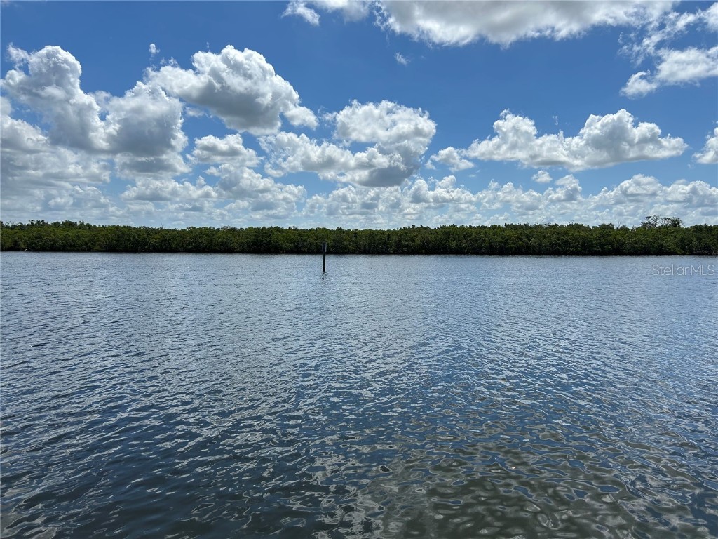 809 Bahia Del Sol Drive #72 Ruskin FL 33570 TB8396504 image71