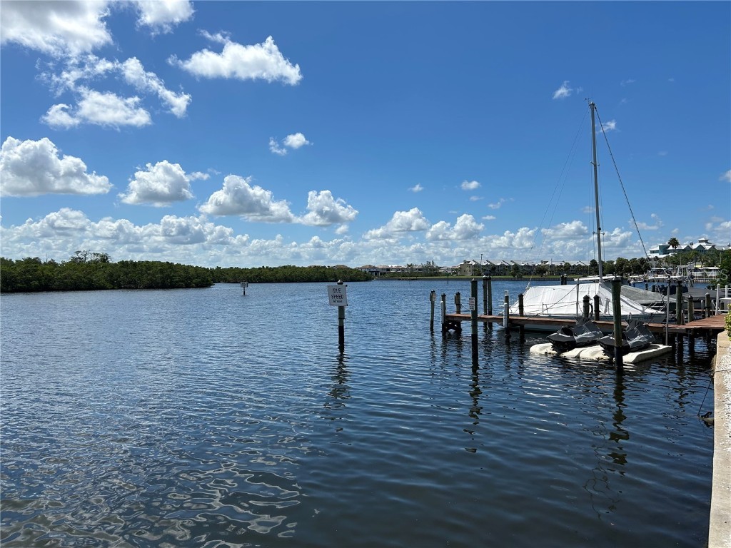 809 Bahia Del Sol Drive #72 Ruskin FL 33570 TB8396504 image72