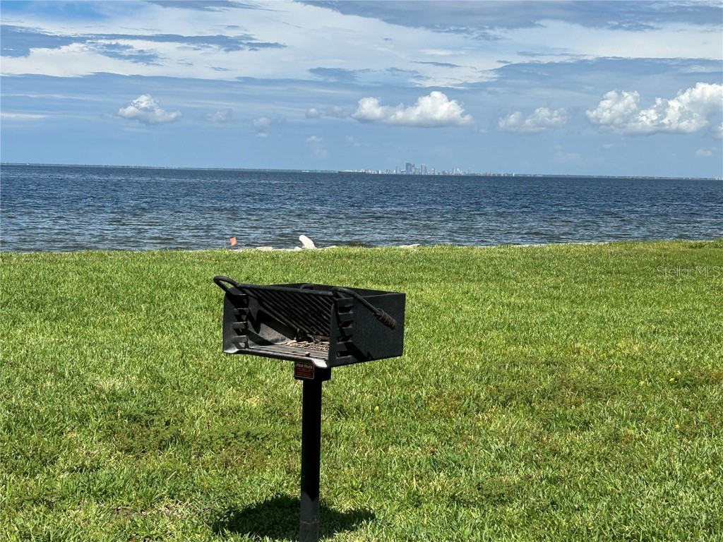 809 Bahia Del Sol Drive #72 Ruskin FL 33570 TB8396504 image74