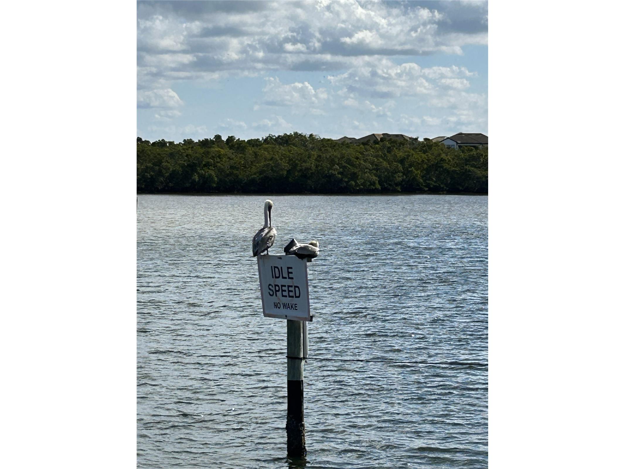 809 Bahia Del Sol Drive #72 Ruskin FL 33570 TB8396504 image81