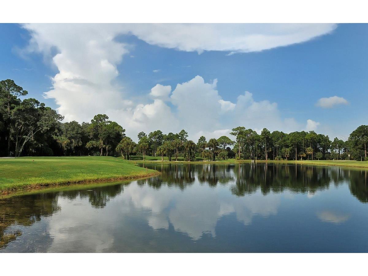 809 Blue Crane Drive Venice FL 34285 N6142769 image53