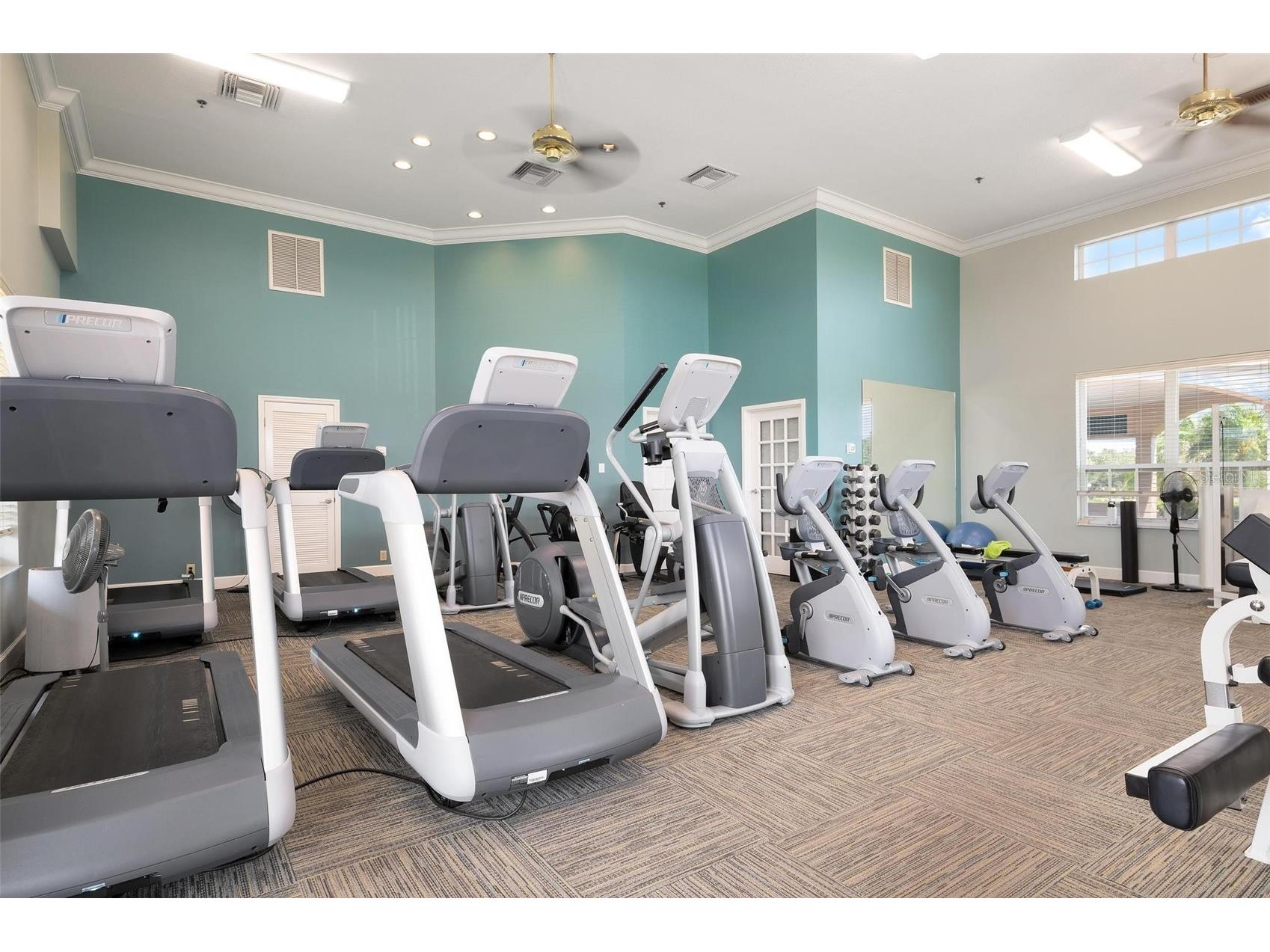 809 Blue Crane Drive Venice FL 34285 N6142769 image63