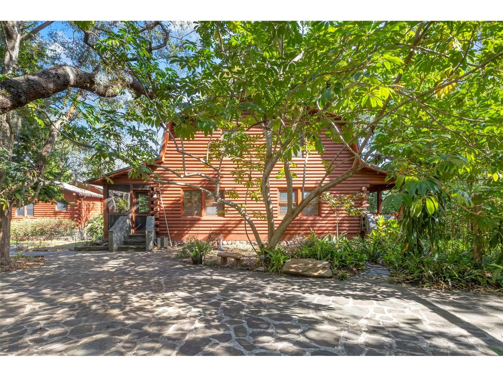 809 Cardinal Avenue Palm Harbor FL 34683 TB8470211 image4