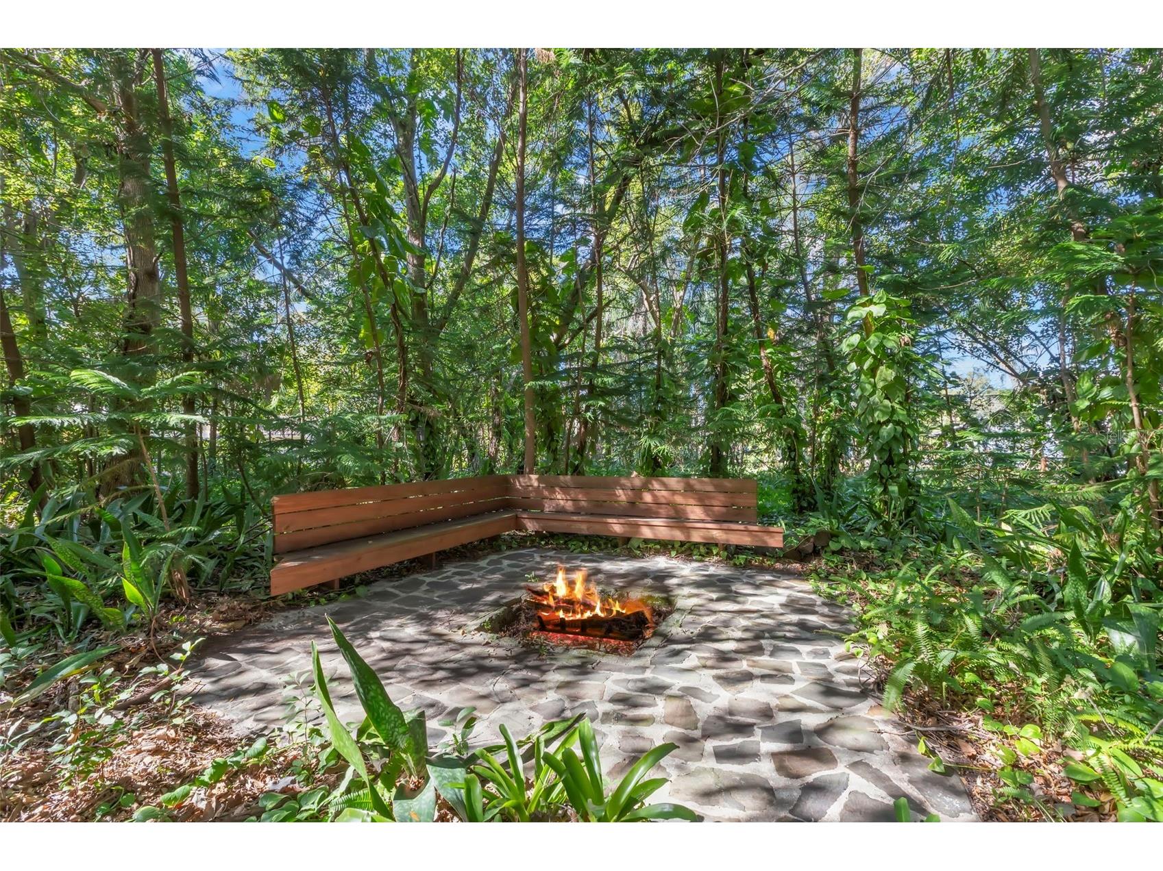 809 Cardinal Avenue Palm Harbor FL 34683 TB8470211 image49