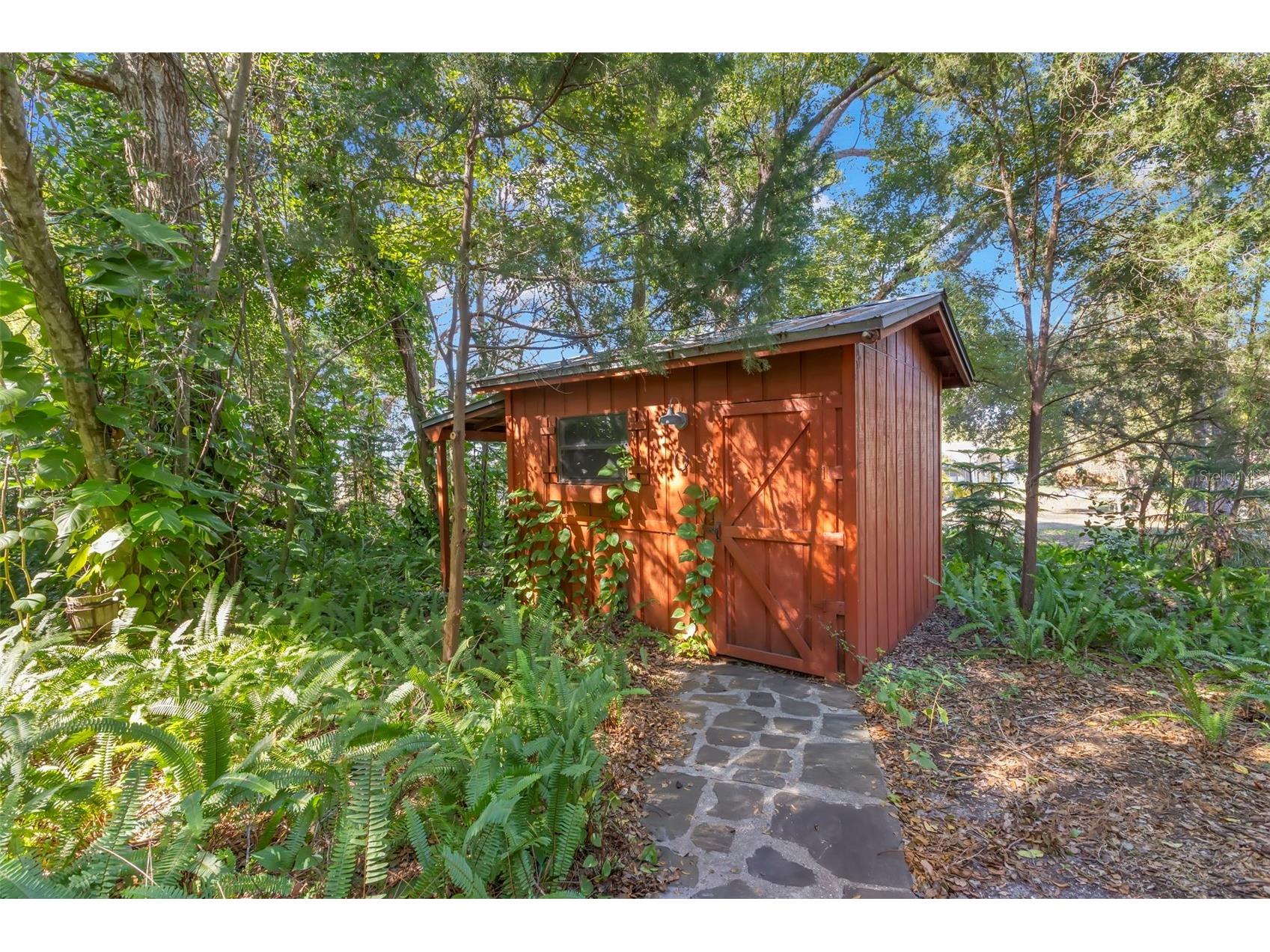 809 Cardinal Avenue Palm Harbor FL 34683 TB8470211 image51