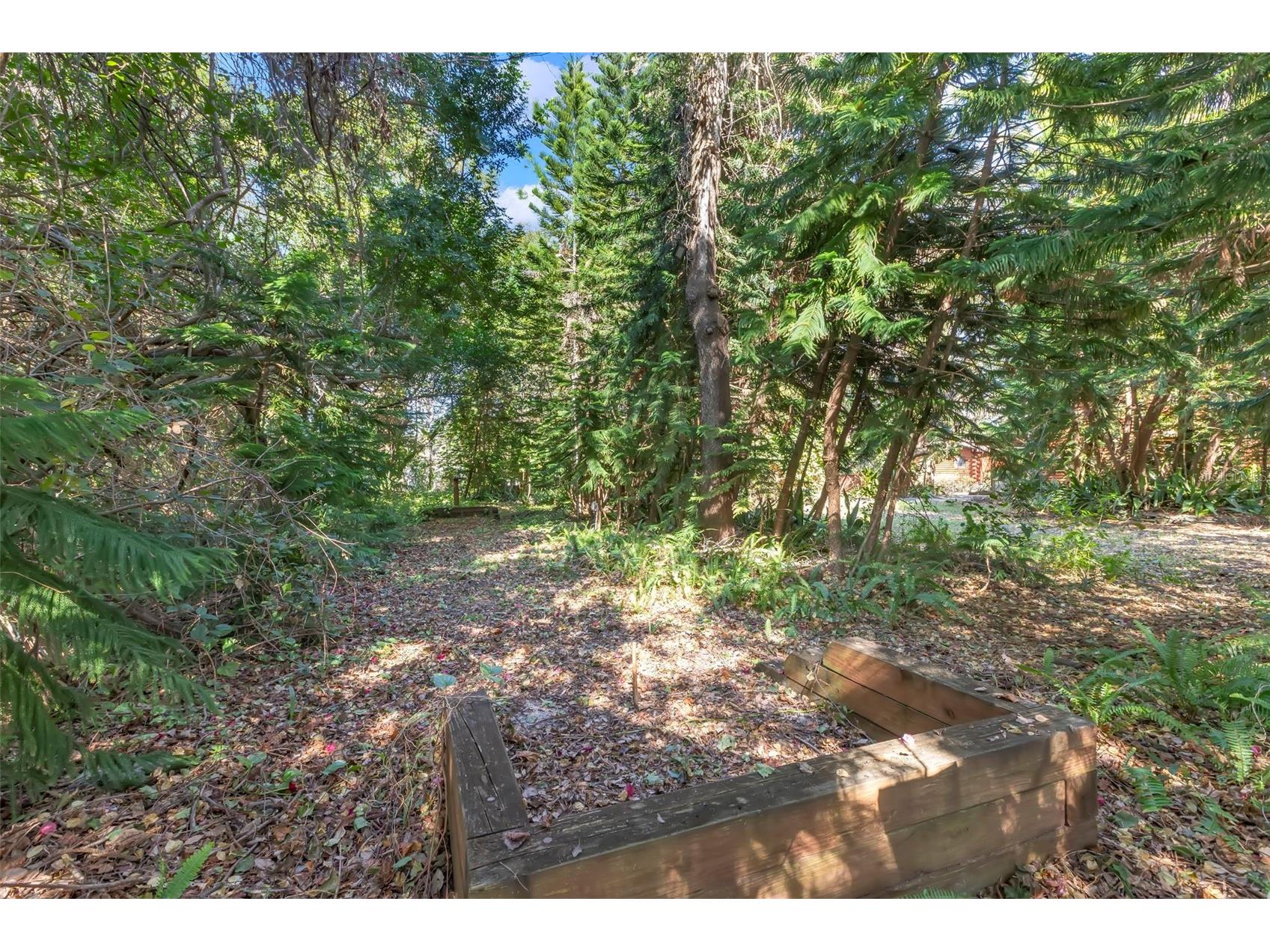 809 Cardinal Avenue Palm Harbor FL 34683 TB8470211 image54