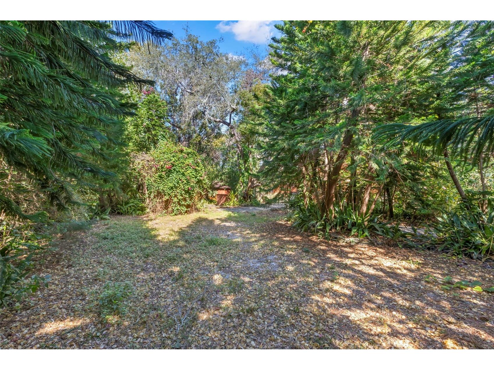 809 Cardinal Avenue Palm Harbor FL 34683 TB8470211 image55