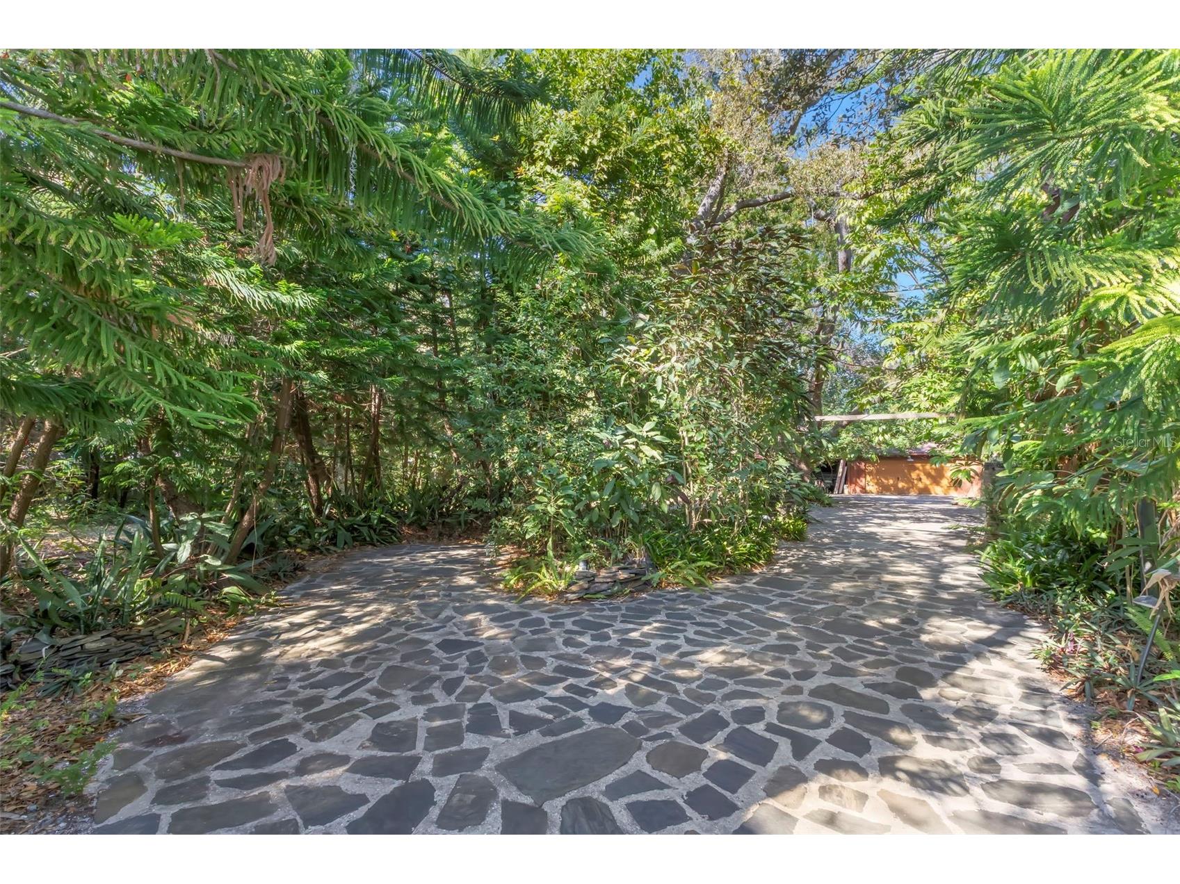 809 Cardinal Avenue Palm Harbor FL 34683 TB8470211 image56