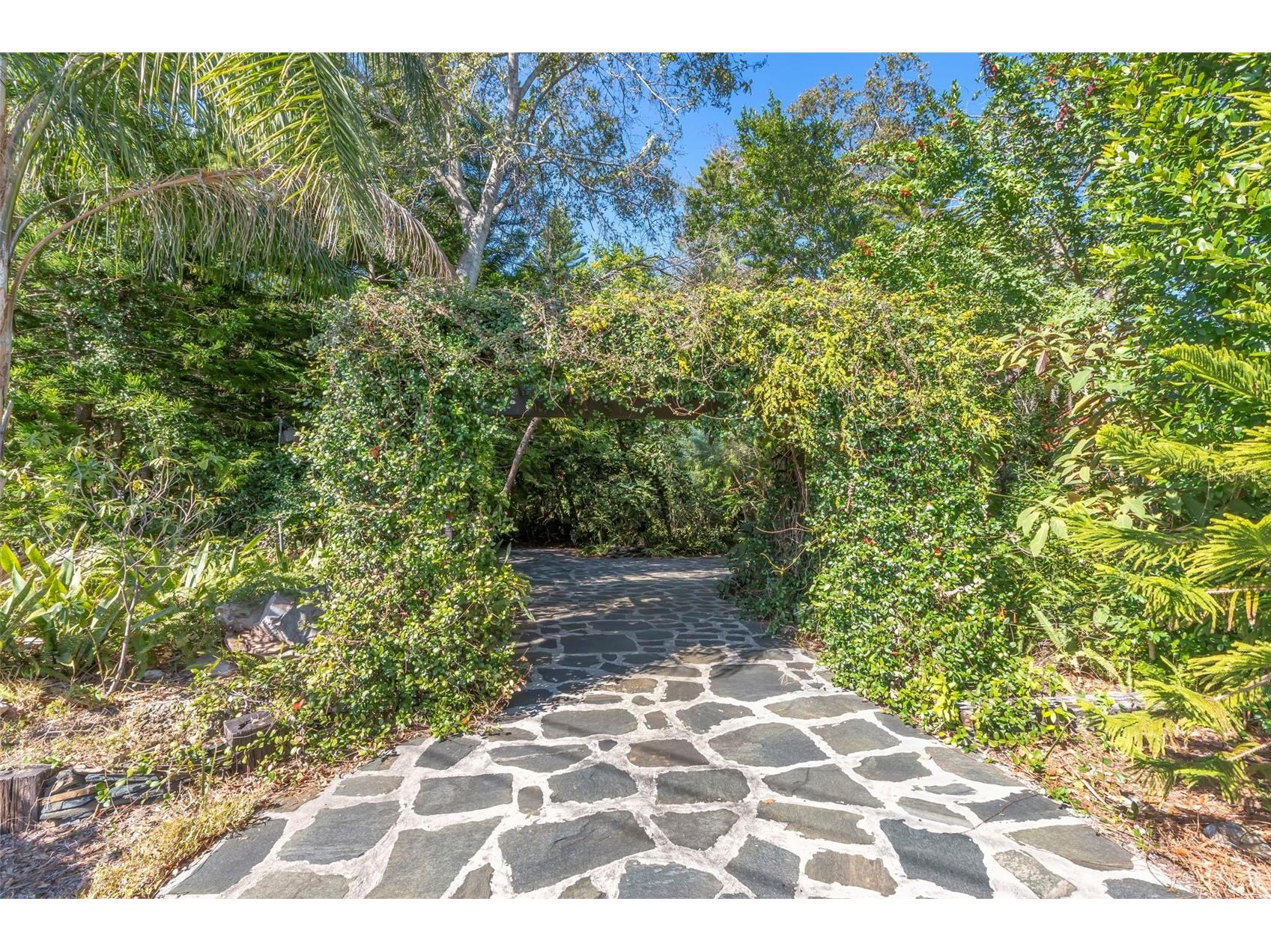 809 Cardinal Avenue Palm Harbor FL 34683 TB8470211 image57