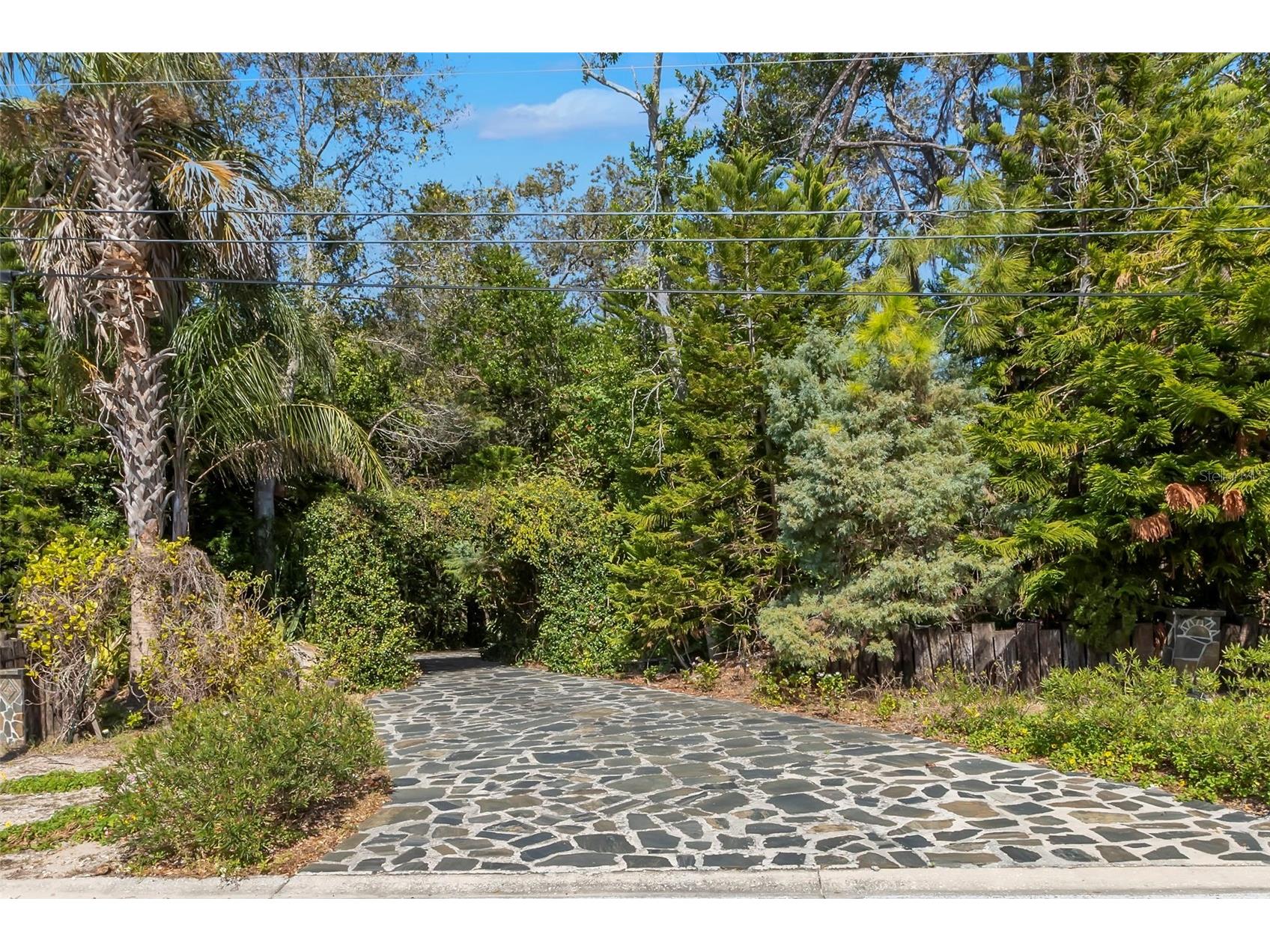 809 Cardinal Avenue Palm Harbor FL 34683 TB8470211 image59