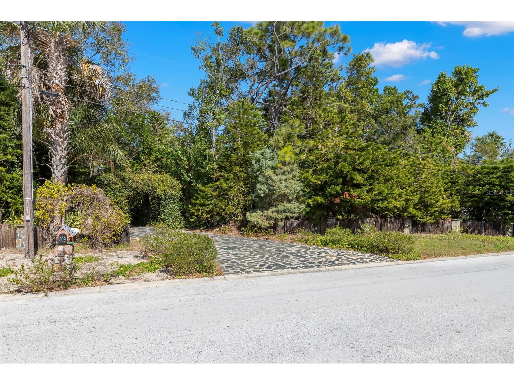 809 Cardinal Avenue Palm Harbor FL 34683 TB8470211 image61