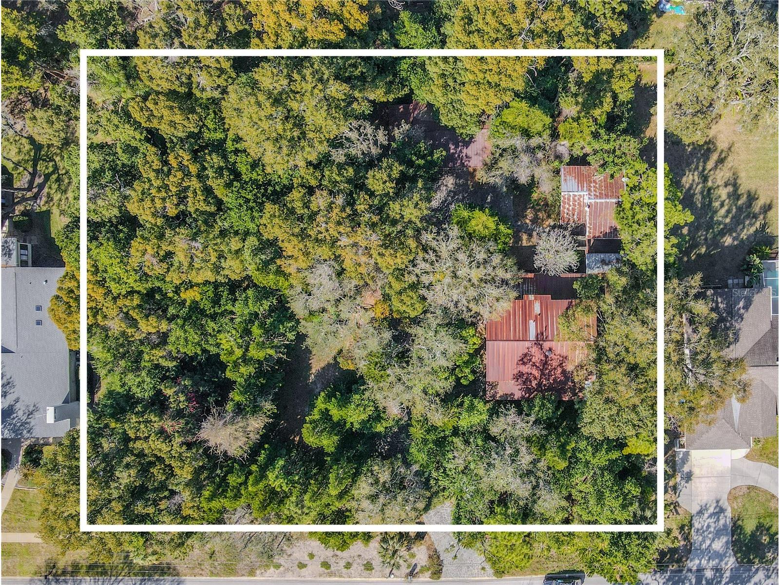 809 Cardinal Avenue Palm Harbor FL 34683 TB8470211 image62