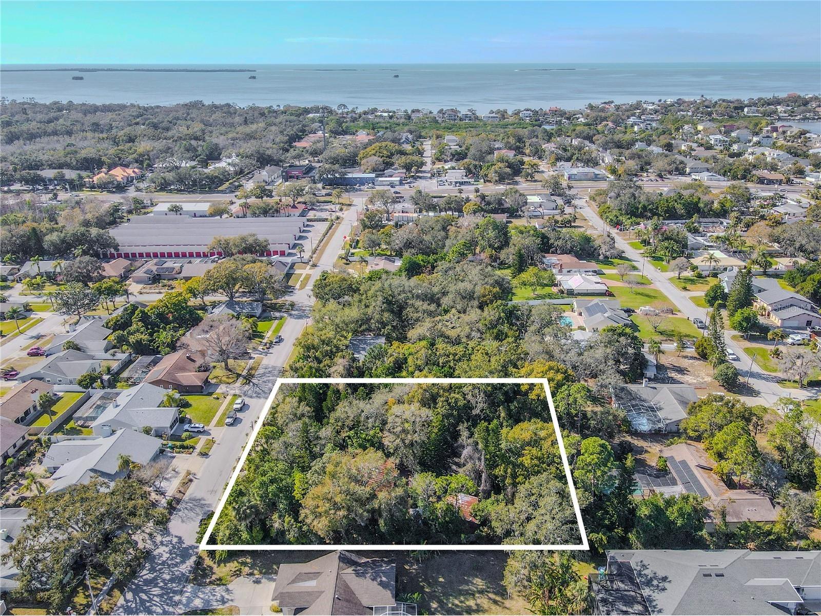 809 Cardinal Avenue Palm Harbor FL 34683 TB8470211 image64