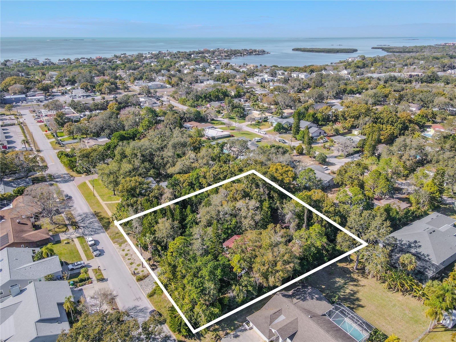 809 Cardinal Avenue Palm Harbor FL 34683 TB8470211 image65