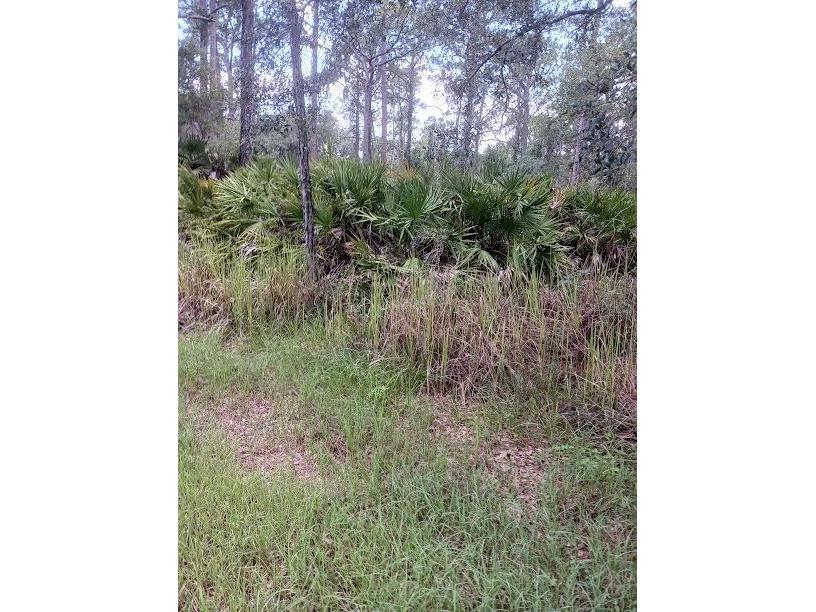 809 Fleetwood Street Lake Placid FL 33852 OK222927 image1