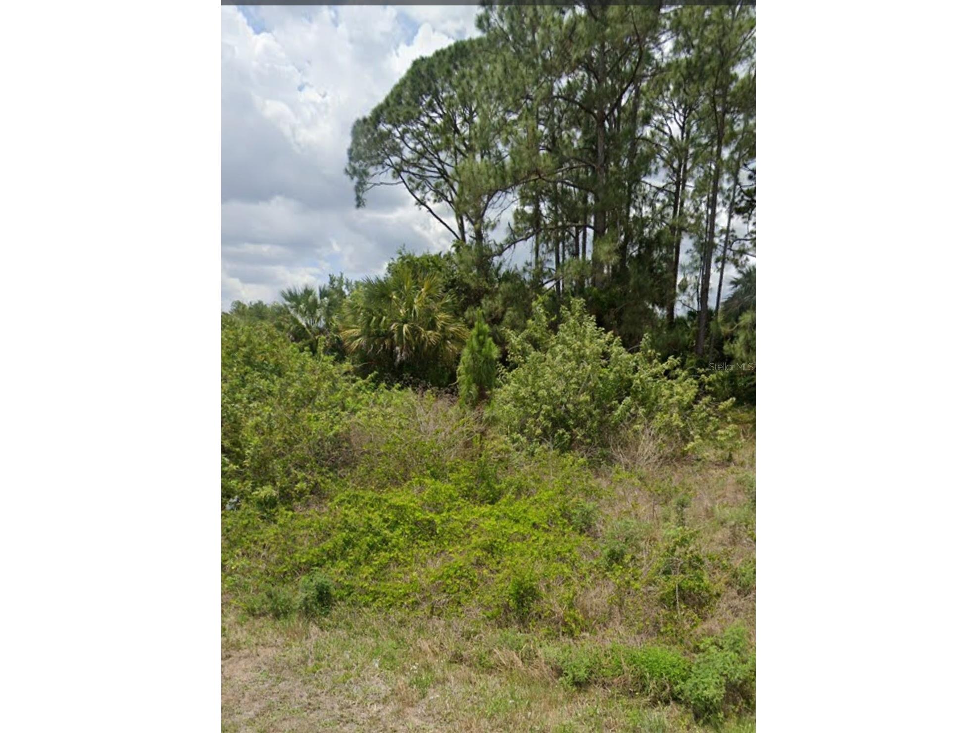 809 Gerald Avenue Lehigh Acres FL 33936 TB8387429 image2