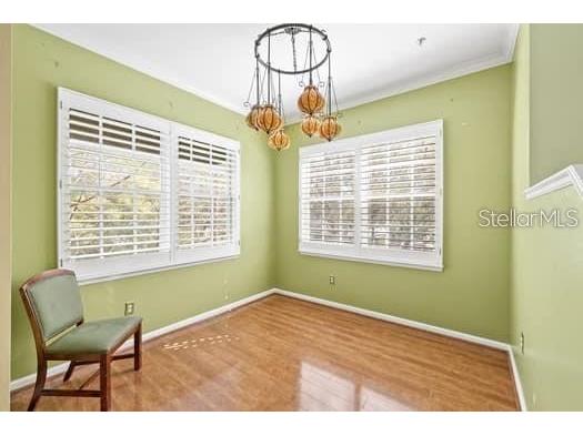 809 Harbor Oak Lane Clearwater FL 33756 TB8465858 image19