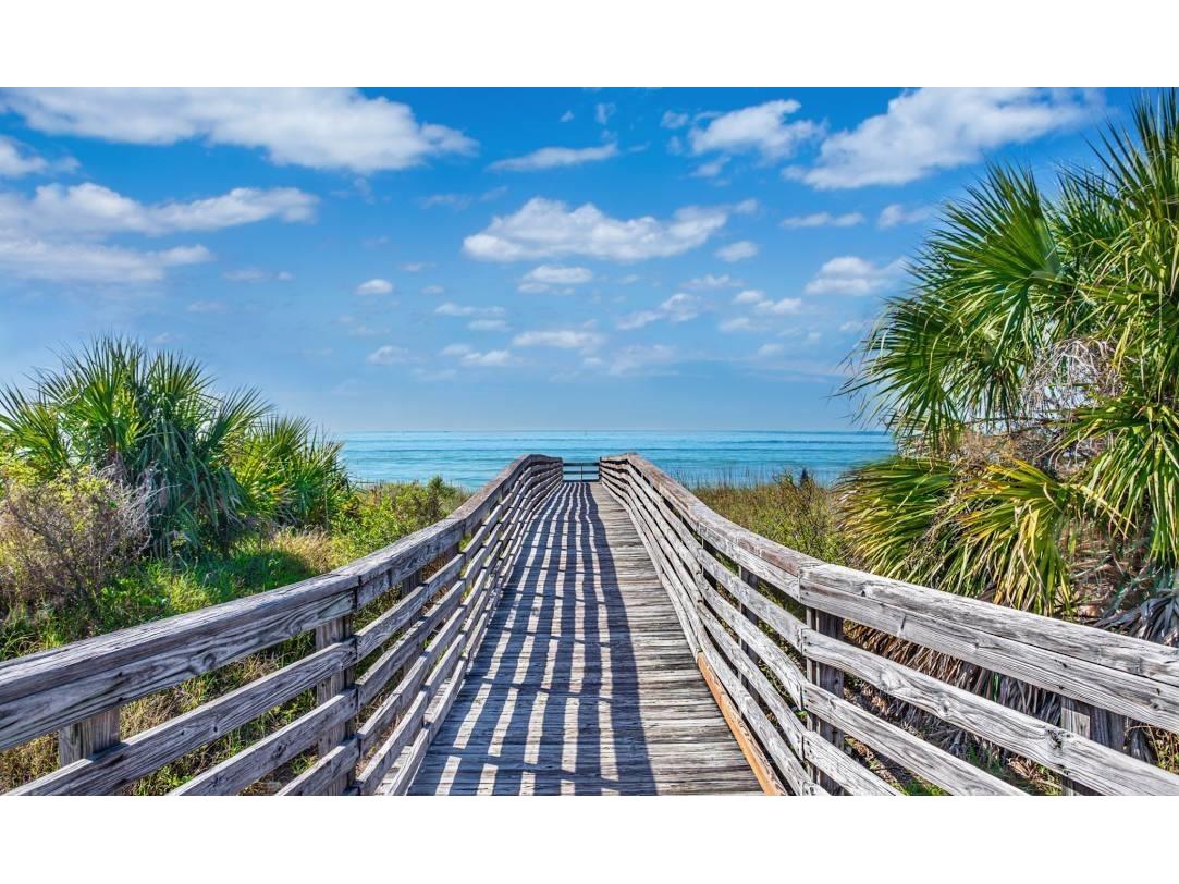 809 Illinois Avenue Palm Harbor FL 34683 TB8526299 image13