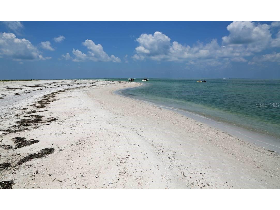 809 Illinois Avenue Palm Harbor FL 34683 TB8526299 image14