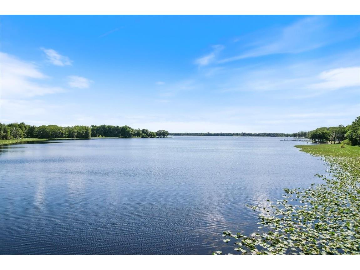 809 Inverie Drive Inverness FL 34453 TB8452349 image44