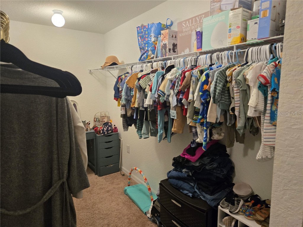 809 Liam Lane Bartow FL 33830 P4936114 image44